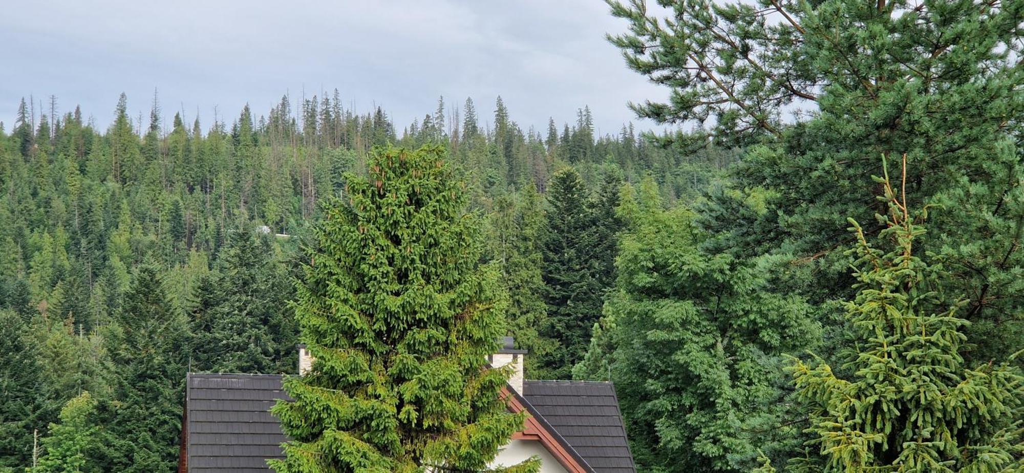 Pokoje Apartamenty Pod Limba Zakopane Luaran gambar